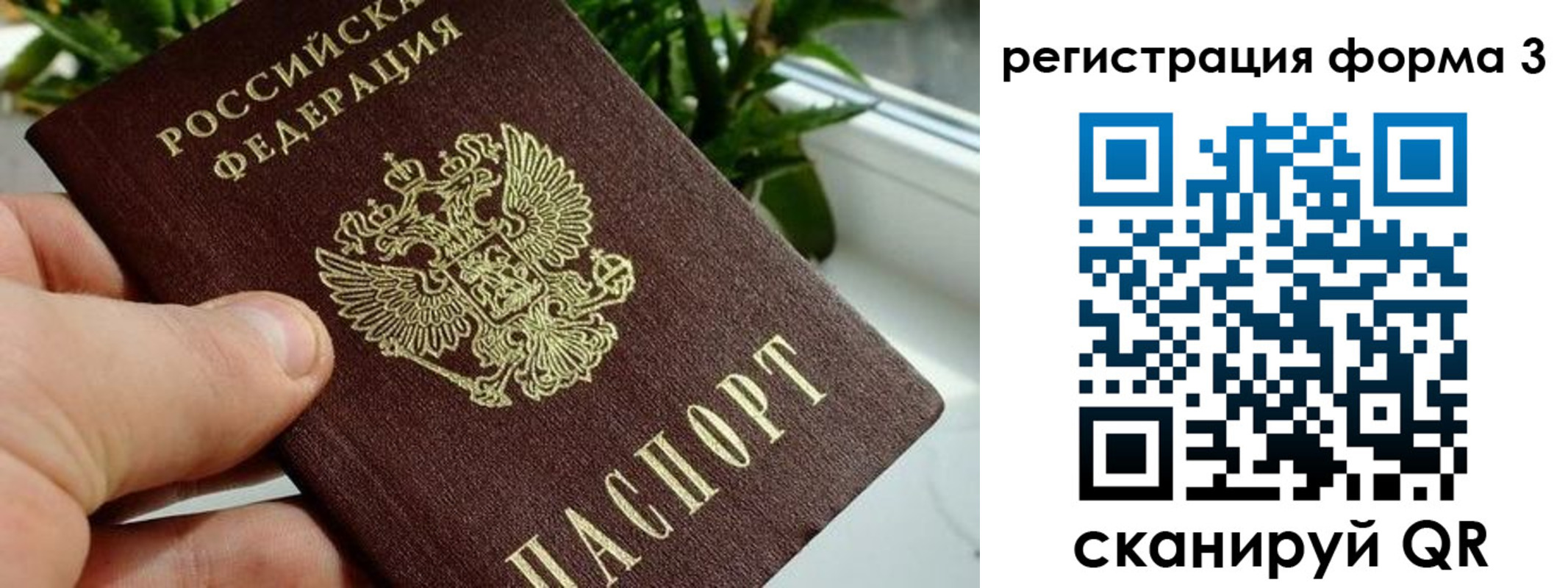 прописка штамп в Полярном